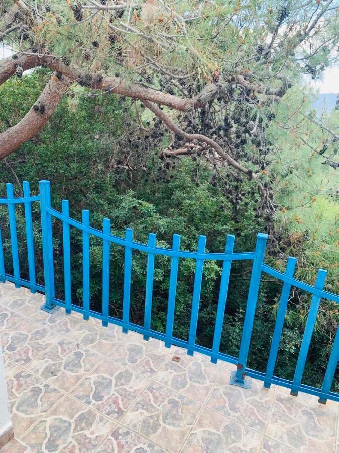 Villa Bellina Pefki Esterno foto